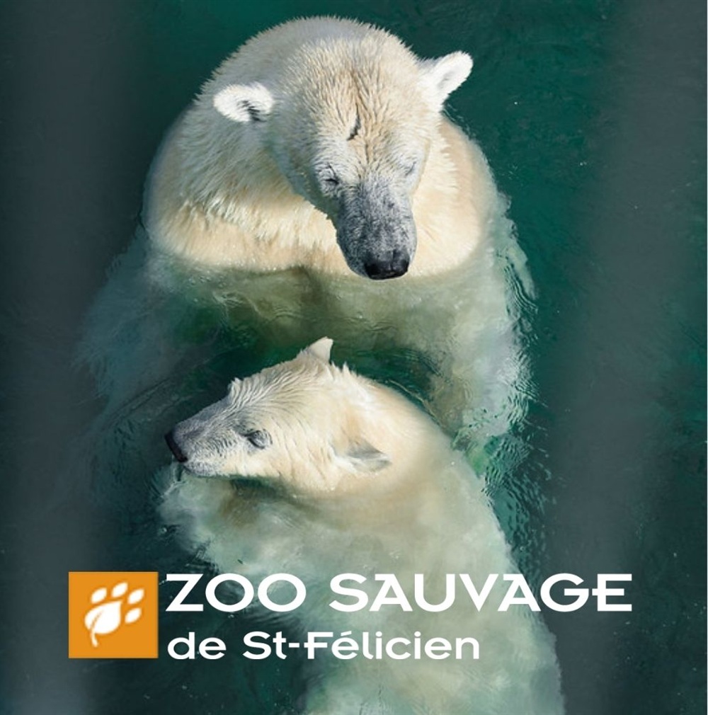 FORFAIT DEUX ADULTES - ESTIVAL 