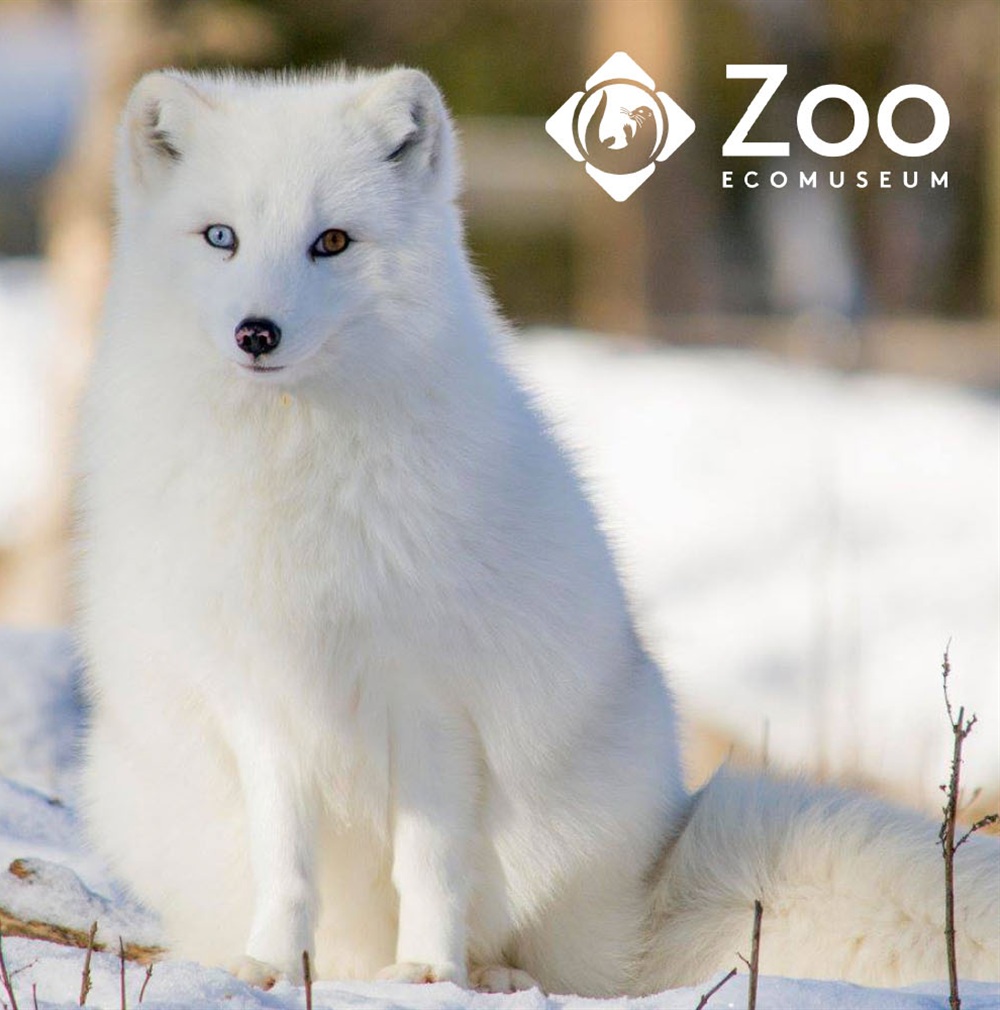 ENTRÉE FAMILIALE HIVERNALE