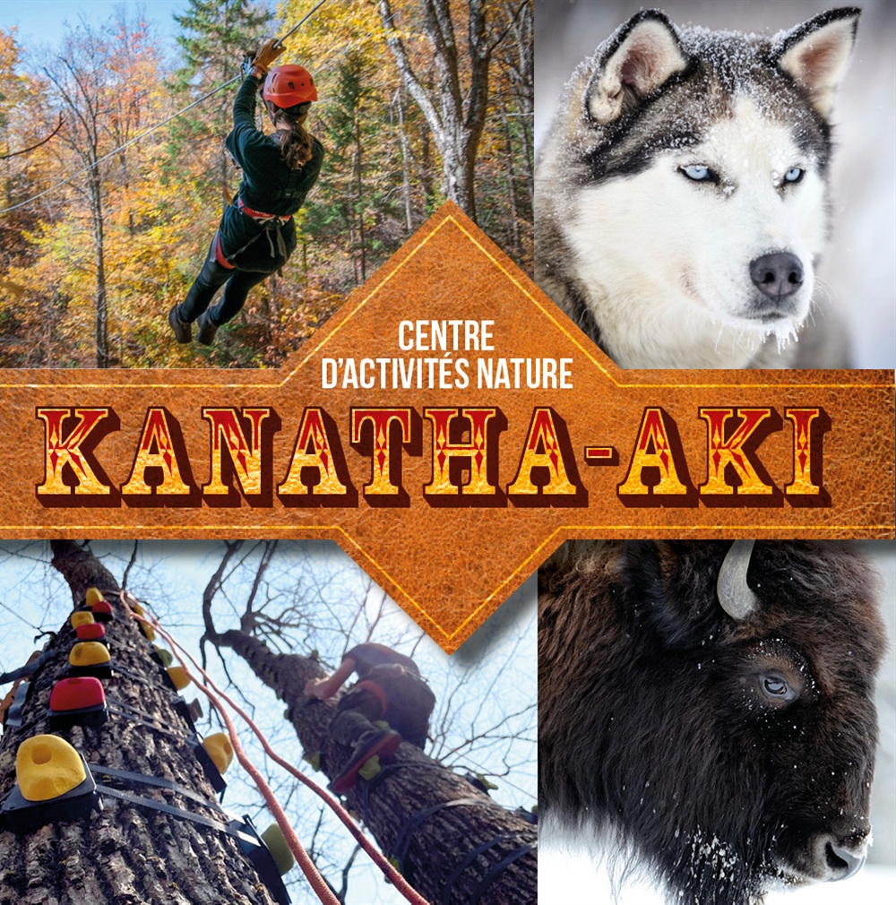 DÉCOUVERTE DES BISONS ET DES CHIENS DE TRAINEAUX