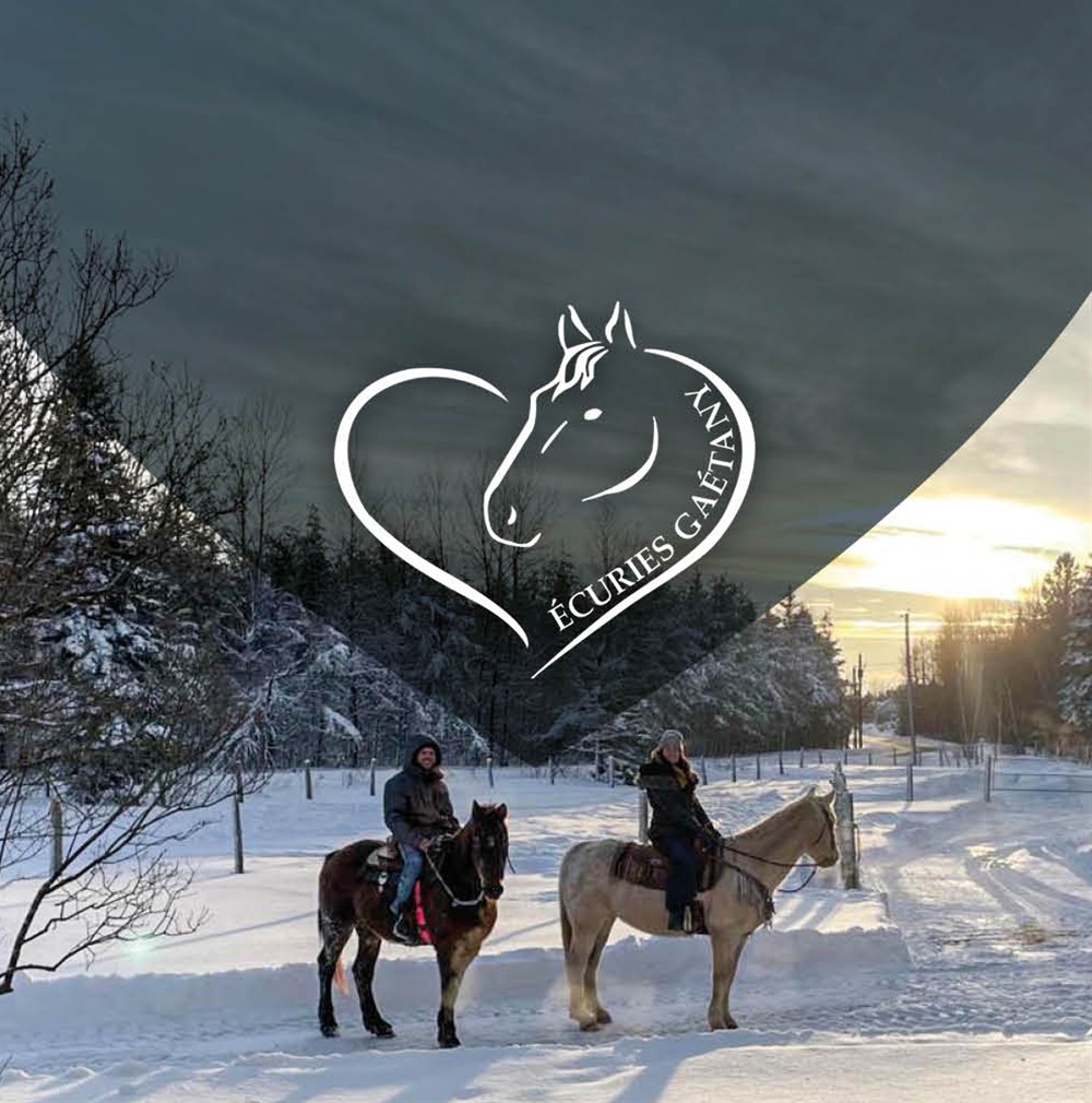 STROLL IN THE FOREST