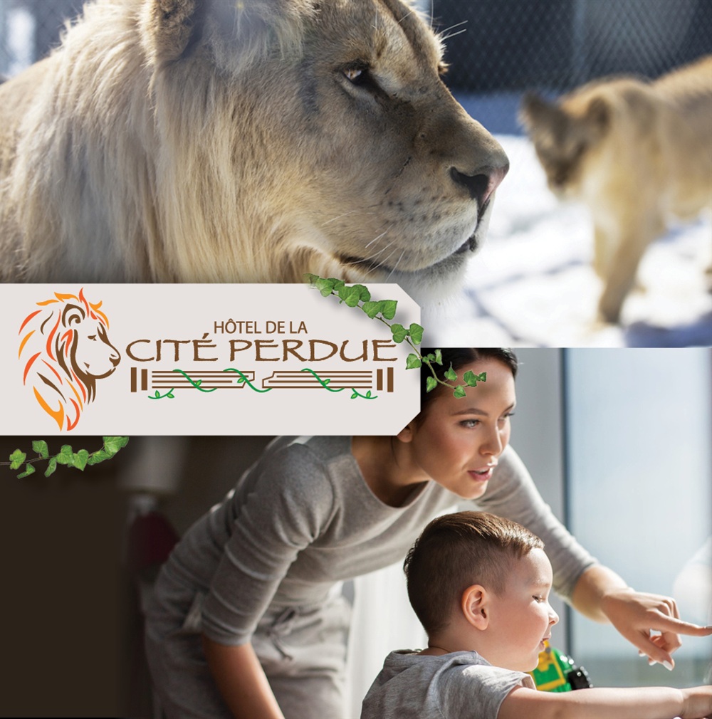 Séjour estival  à la cité perdue