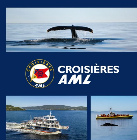 CROISIERES AML