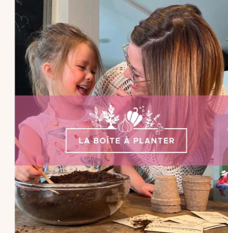 Boite À Planter