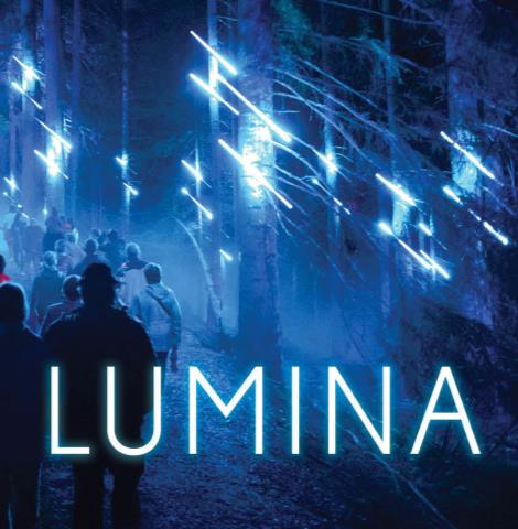 Lumina : Parcours Nocturnes