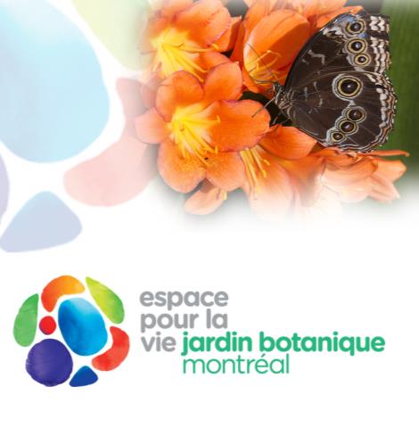 Jardin Botanique de Montréal